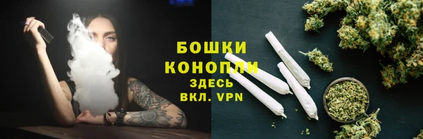 шишки Белоозёрский