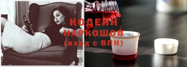 шишки Белоозёрский