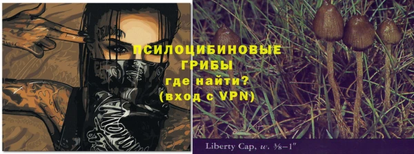 твердый Белокуриха