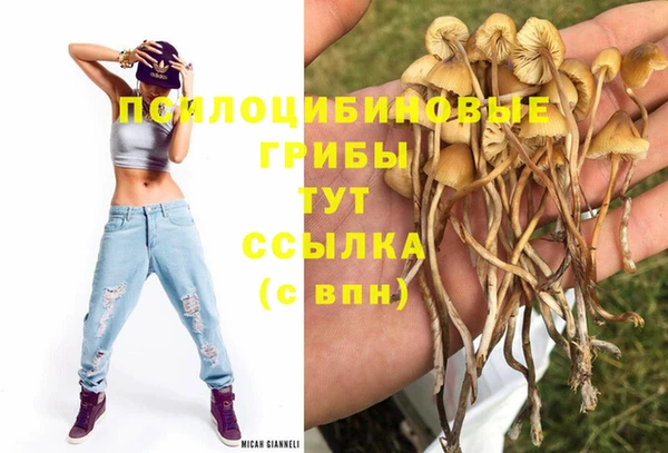 марки nbome Беломорск
